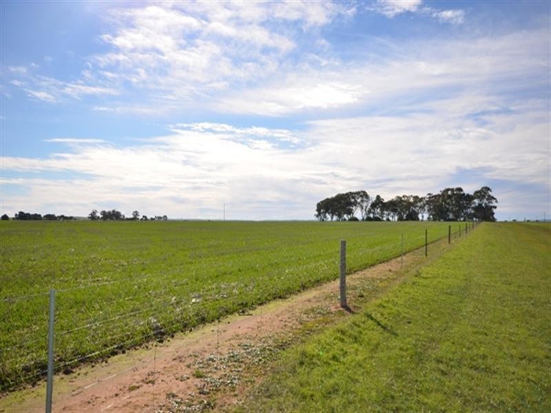 ‘OLGAVALE’ Various Secs, Farrell Flat SA 5416