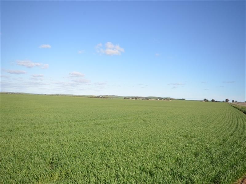 ‘OLGAVALE’ Various Secs, Farrell Flat SA 5416