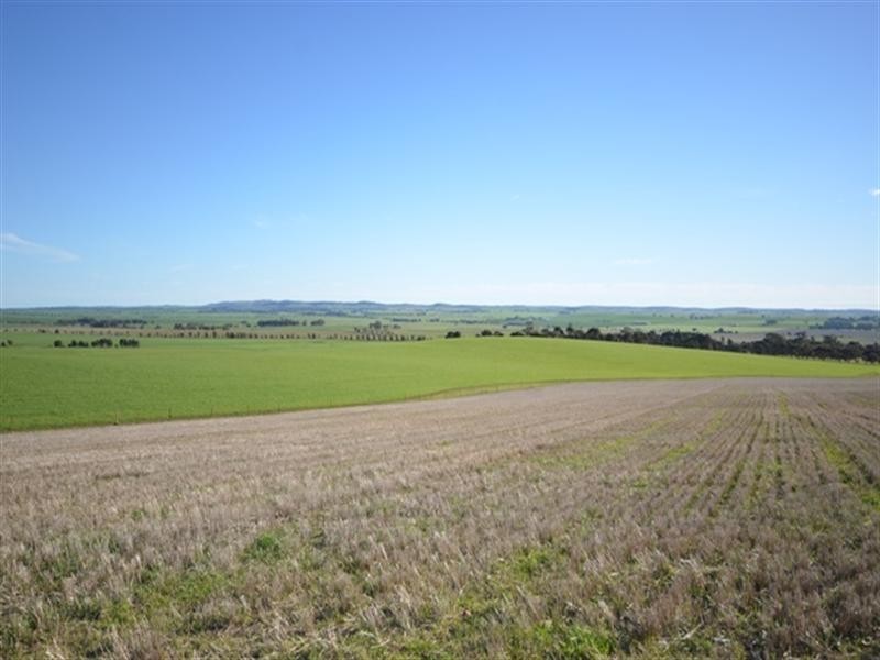 ‘OLGAVALE’ Various Secs, Farrell Flat SA 5416