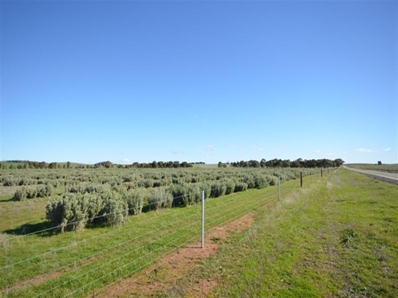 ‘OLGAVALE’ Various Secs, Farrell Flat SA 5416