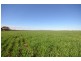 . ‘WIRREANDA’, Snowtown SA 5520