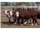 . ‘WIRREANDA’, Snowtown SA 5520