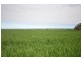 . ‘WIRREANDA’, Snowtown SA 5520