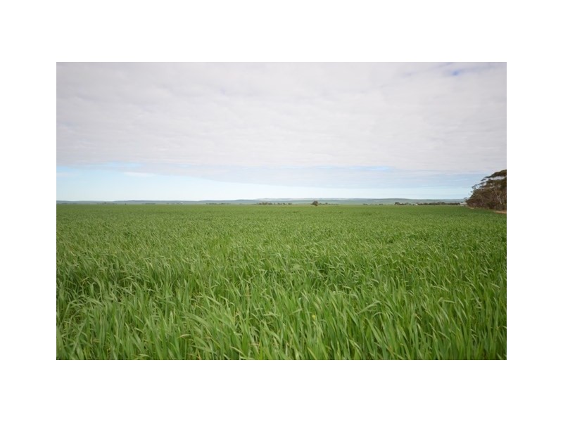 . ‘WIRREANDA’, Snowtown SA 5520