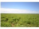 . ‘WIRREANDA’, Snowtown SA 5520