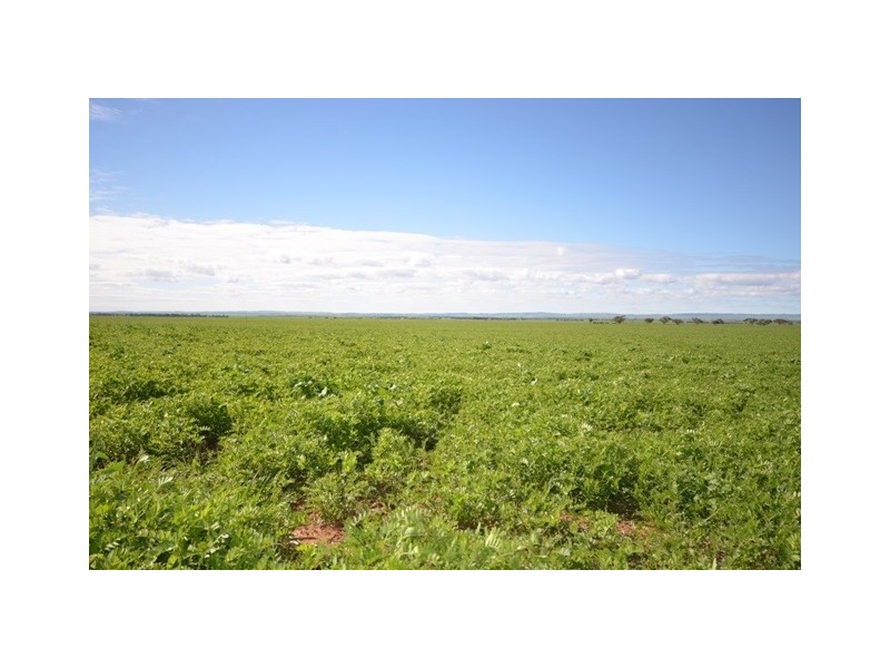 . ‘WIRREANDA’, Snowtown SA 5520
