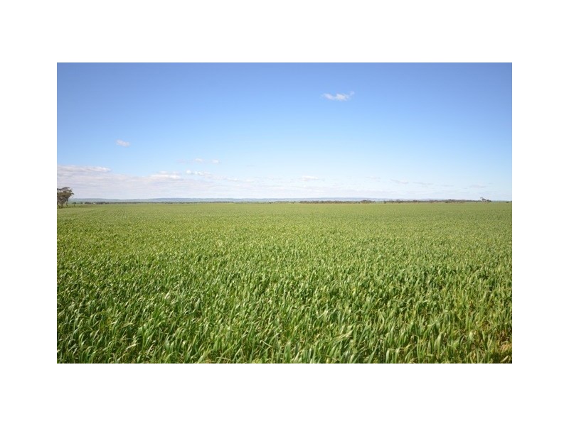 . ‘WIRREANDA’, Snowtown SA 5520