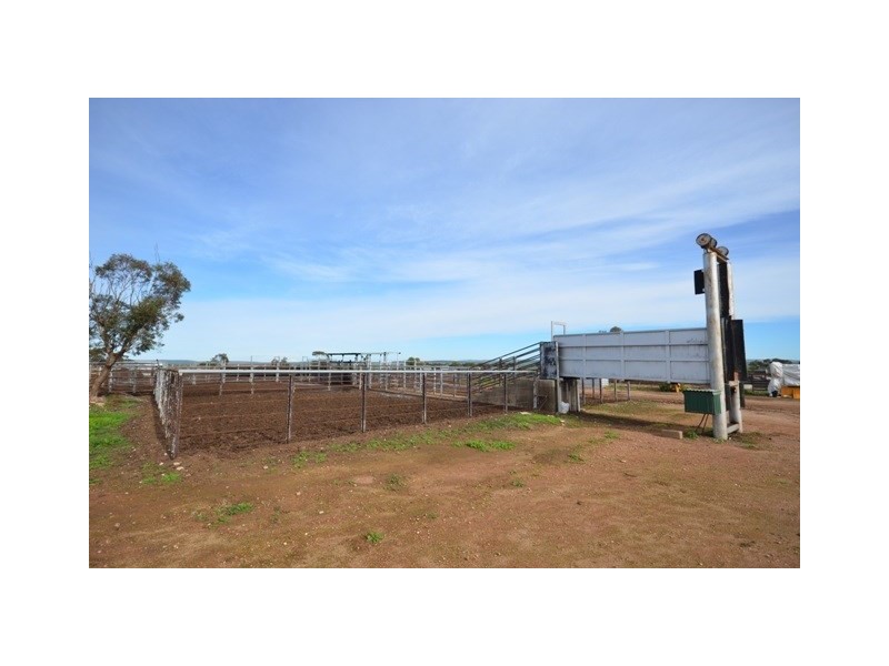 . ‘WIRREANDA’, Snowtown SA 5520