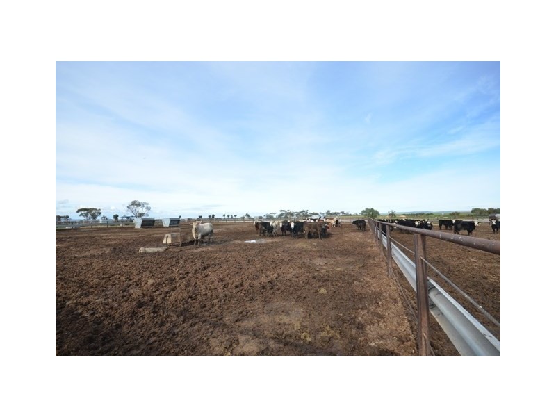 . ‘WIRREANDA’, Snowtown SA 5520