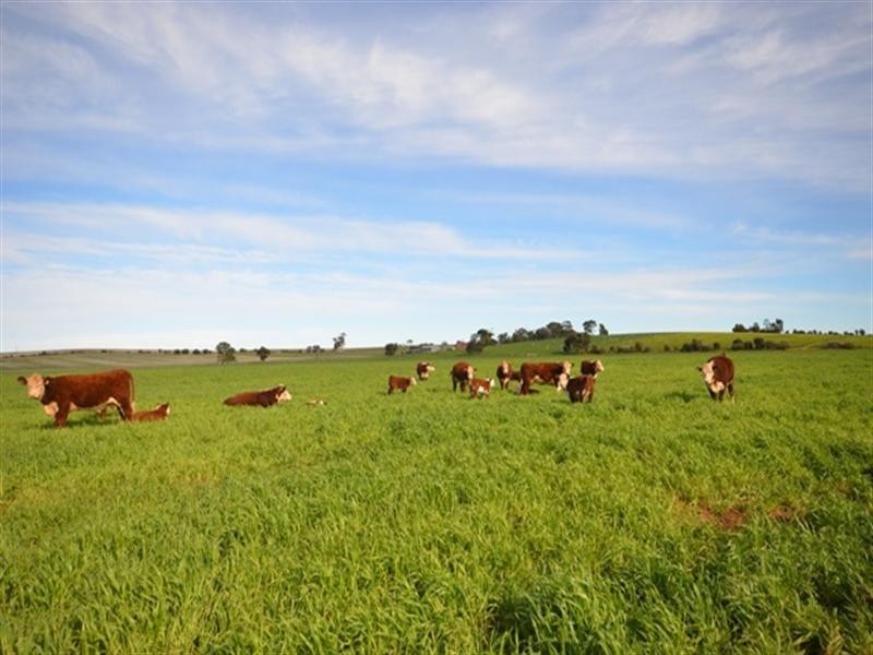 “Kurrum Burra” Various Secs, Riverton SA 5412