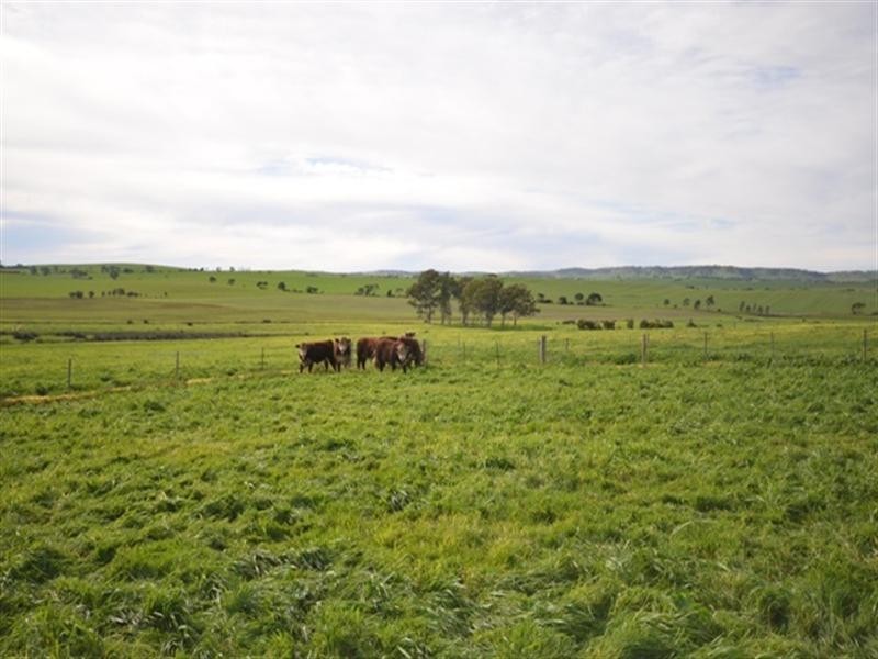 “Kurrum Burra” Various Secs, Riverton SA 5412