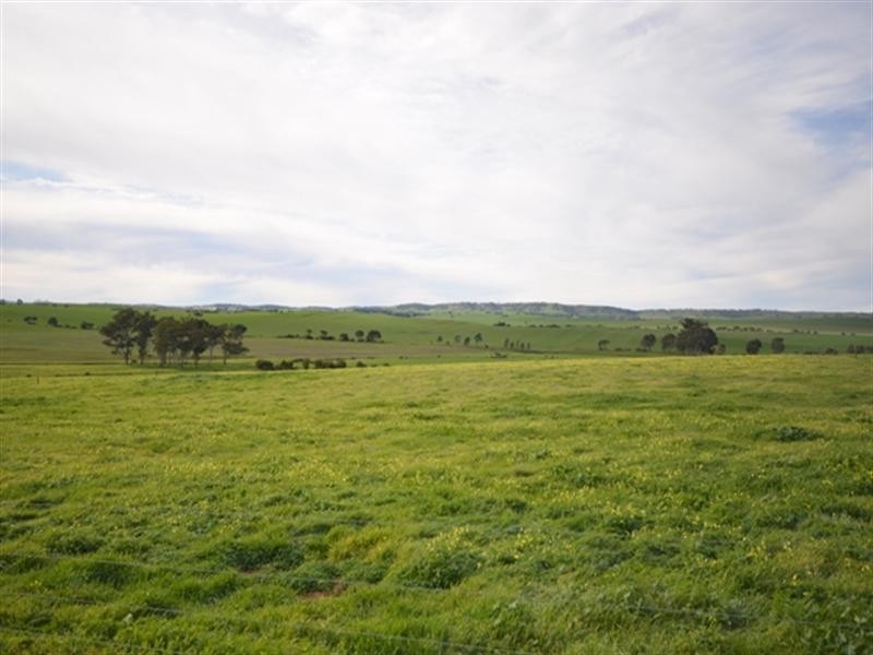 “Kurrum Burra” Various Secs, Riverton SA 5412