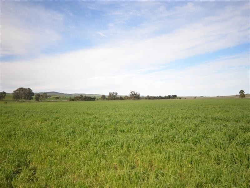 “Kurrum Burra” Various Secs, Riverton SA 5412