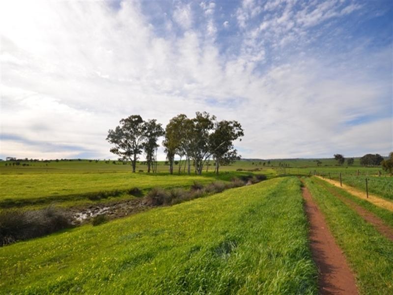 “Kurrum Burra” Various Secs, Riverton SA 5412