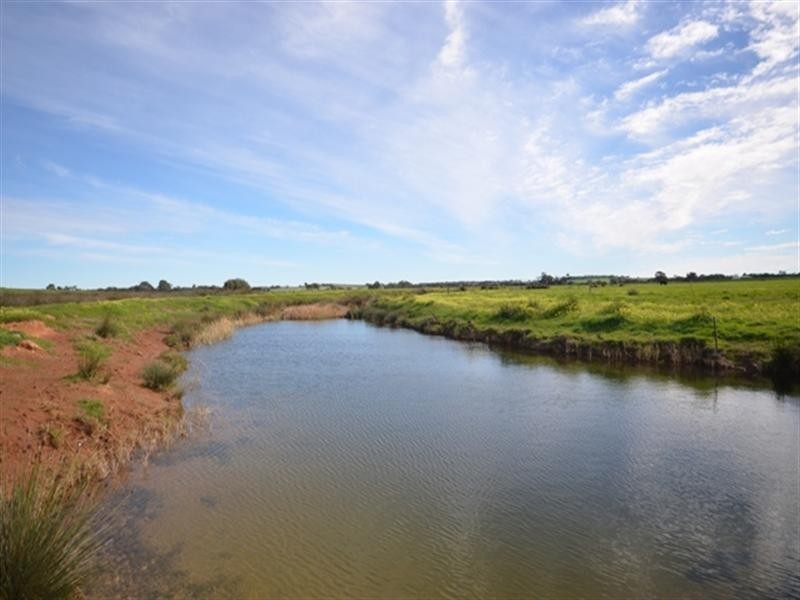 “Kurrum Burra” Various Secs, Riverton SA 5412