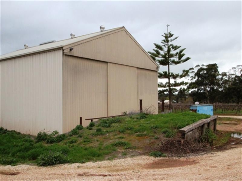 Mintaro Cellar Leasingham Road, Mintaro SA 5415