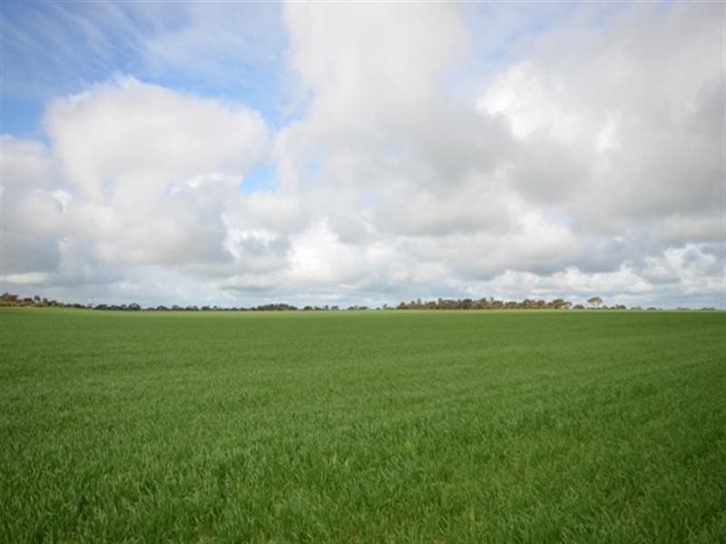 “Sampsons” Port Lorne Road, Pinery SA 5460