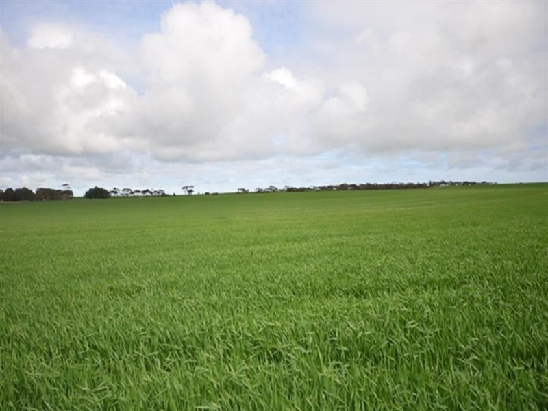 “Sampsons” Port Lorne Road, Pinery SA 5460