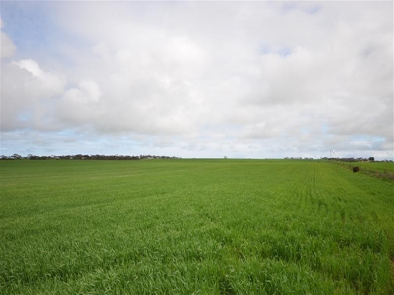 “Sampsons” Port Lorne Road, Pinery SA 5460