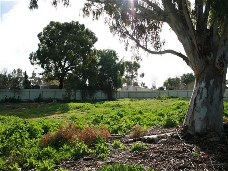 Lot 11 Young Street, Auburn SA 5451