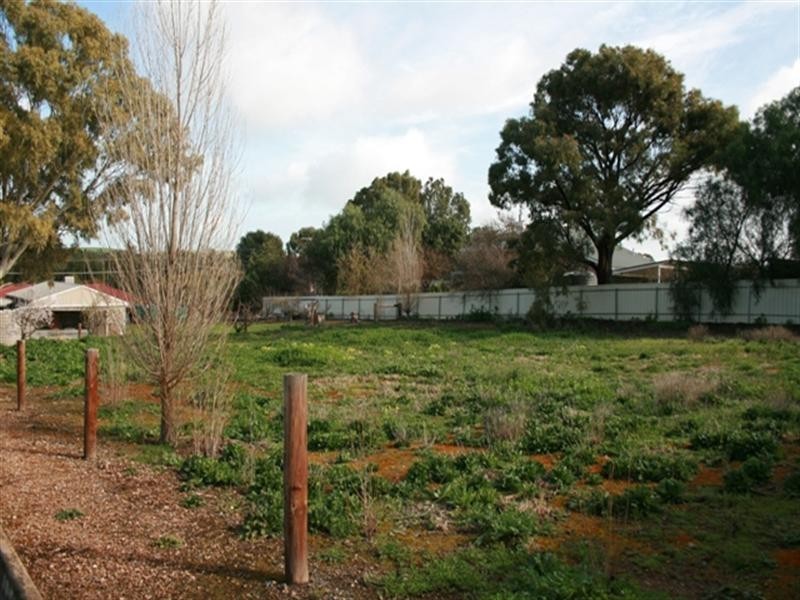 Lot 11 Young Street, Auburn SA 5451