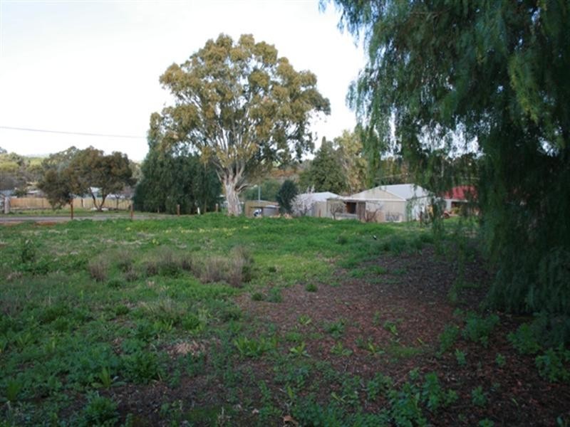 Lot 11 Young Street, Auburn SA 5451