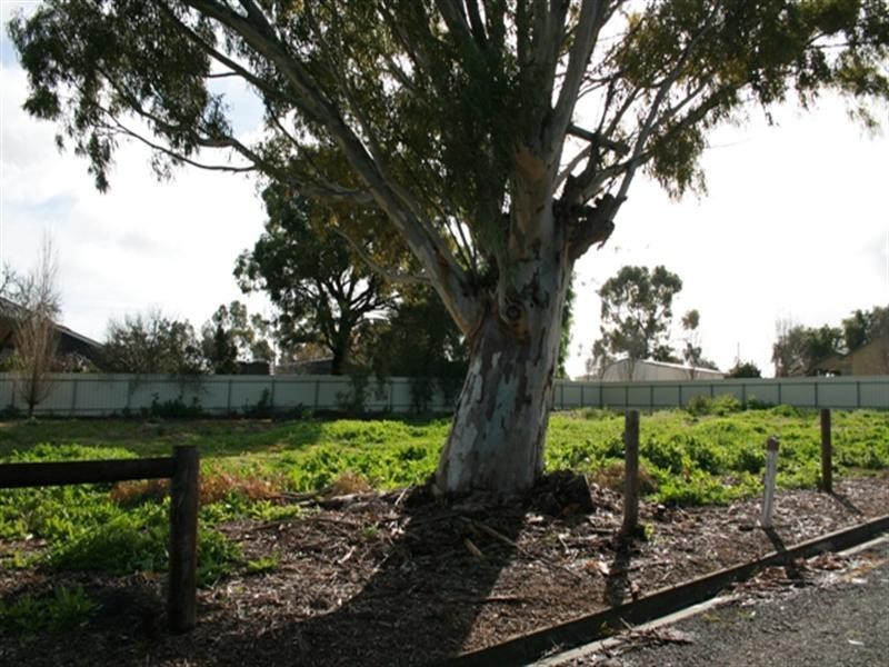 Lot 11 Young Street, Auburn SA 5451