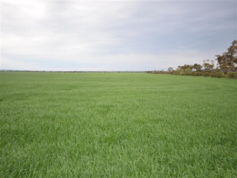 Lot 16 James Eckermann Road, Hart SA 5464