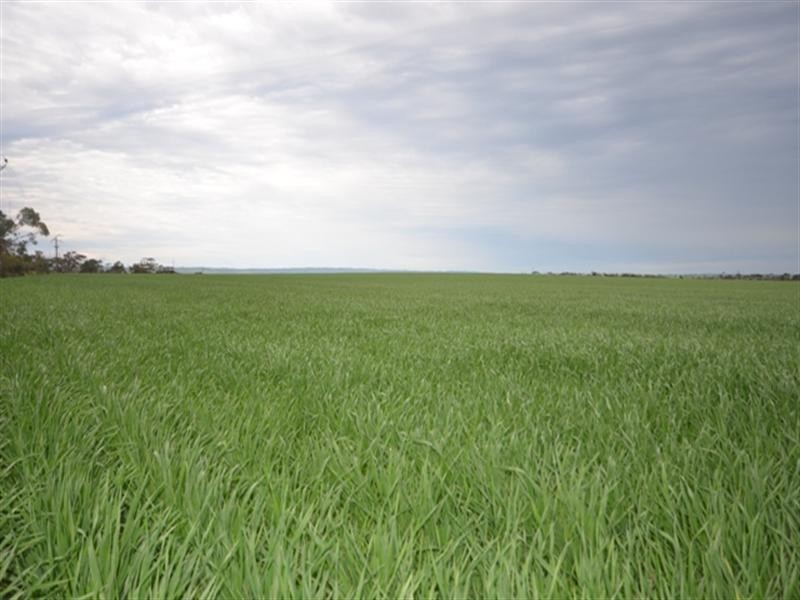 Lot 16 James Eckermann Road, Hart SA 5464