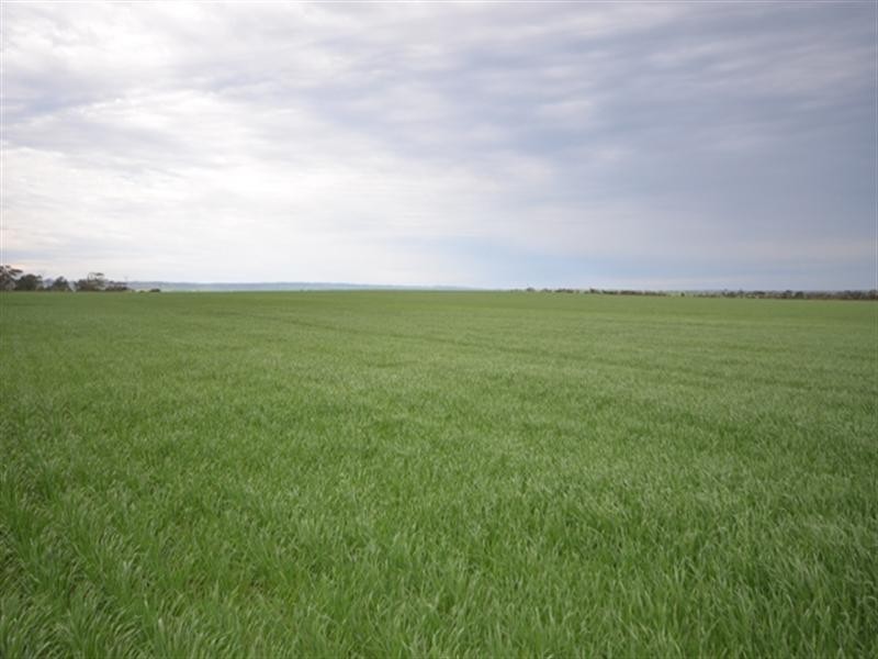 Lot 16 James Eckermann Road, Hart SA 5464