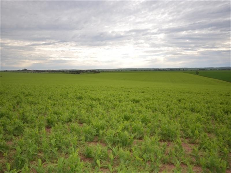 Lot 16 James Eckermann Road, Hart SA 5464