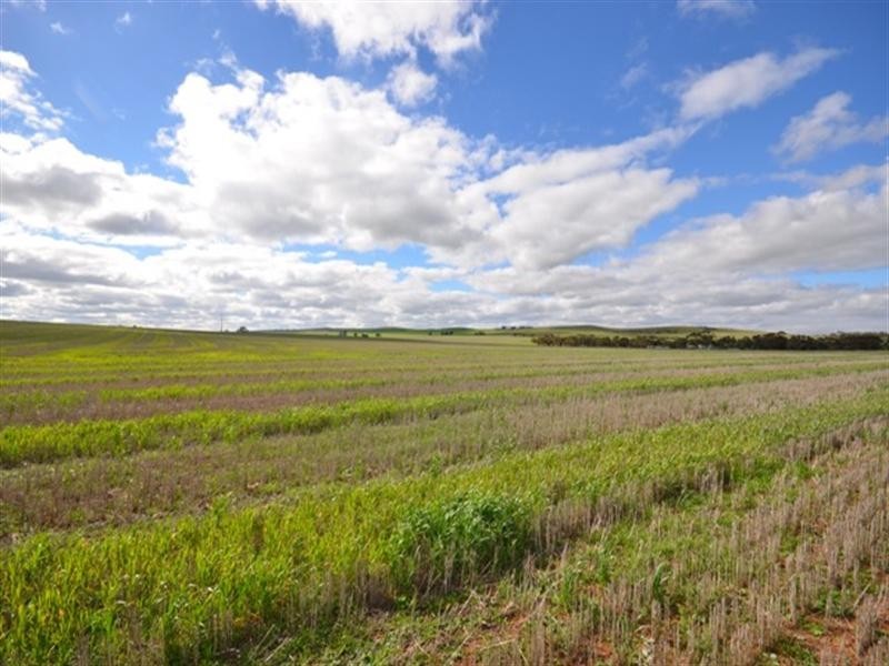 “Glendale” 3 Lots, Burra SA 5417