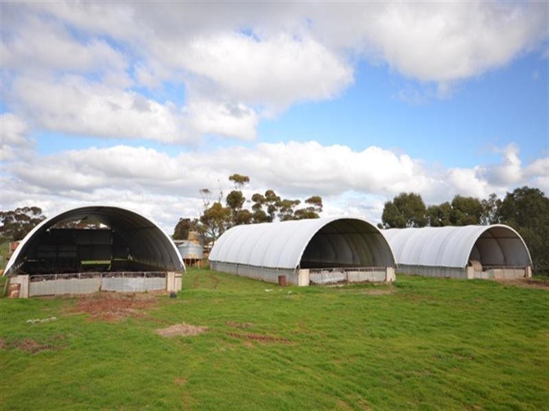 “Glendale” 3 Lots, Burra SA 5417