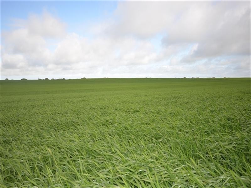 Various Secs Balaklava – Pt Wakefield Road, Bowmans SA 5550