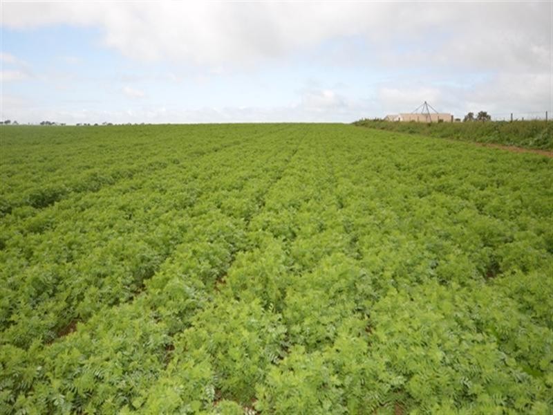 Various Secs Balaklava – Pt Wakefield Road, Bowmans SA 5550