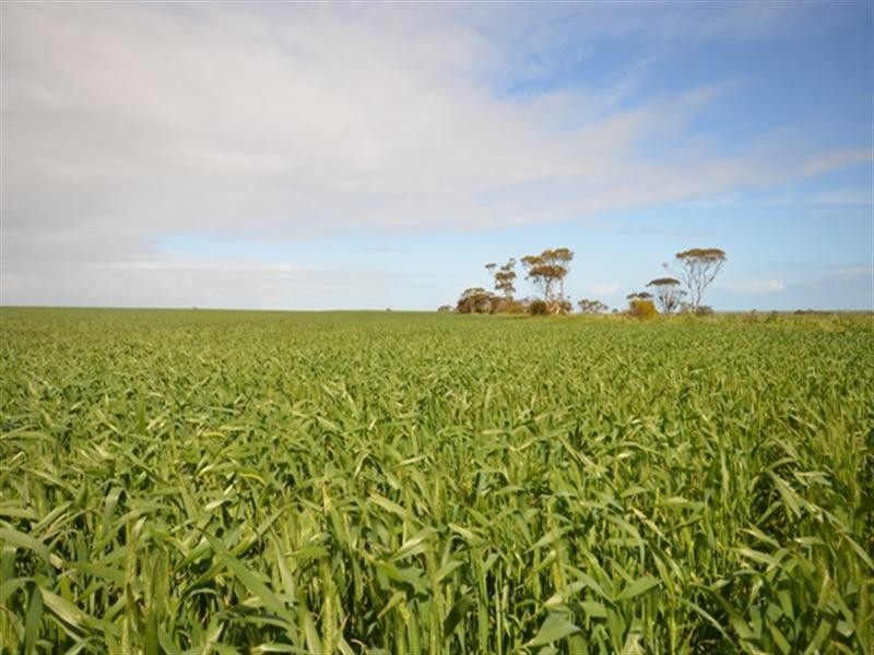 Various Secs Balaklava – Pt Wakefield Road, Bowmans SA 5550