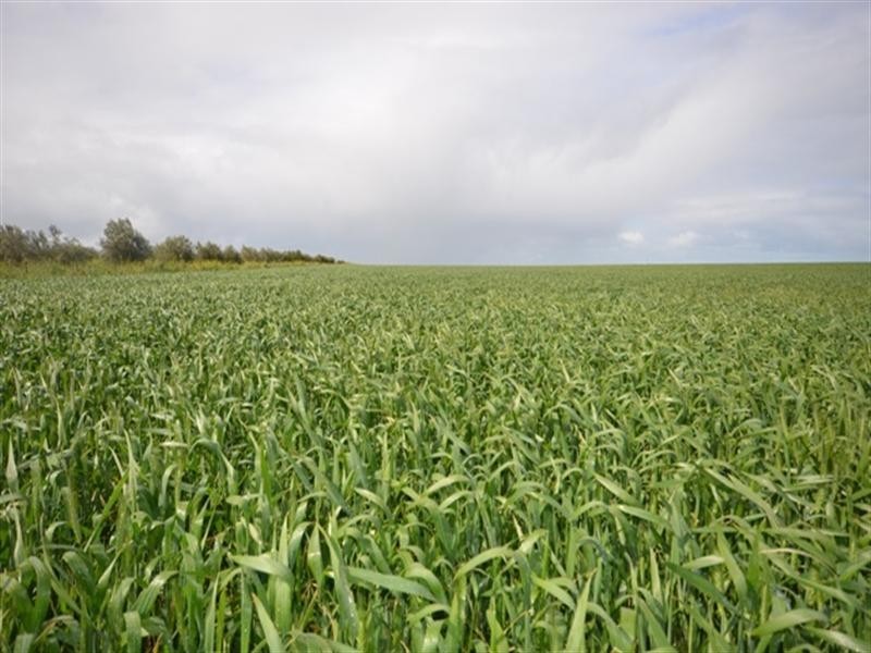 Various Secs Balaklava – Pt Wakefield Road, Bowmans SA 5550