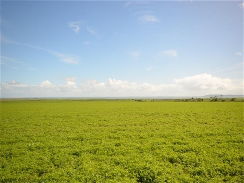 Various Secs Balaklava – Pt Wakefield Road, Bowmans SA 5550