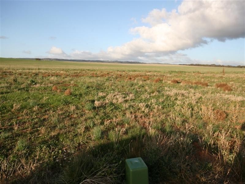 Lot 28 Cook Avenue, Blyth SA 5462