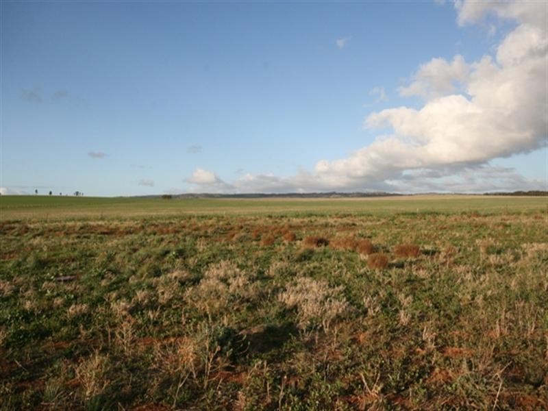 Lot 28 Cook Avenue, Blyth SA 5462