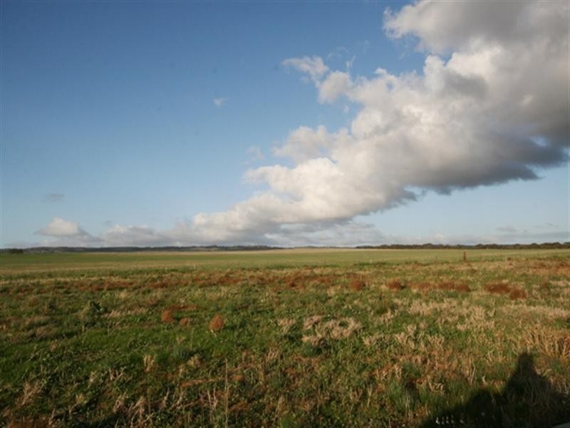 Lot 28 Cook Avenue, Blyth SA 5462