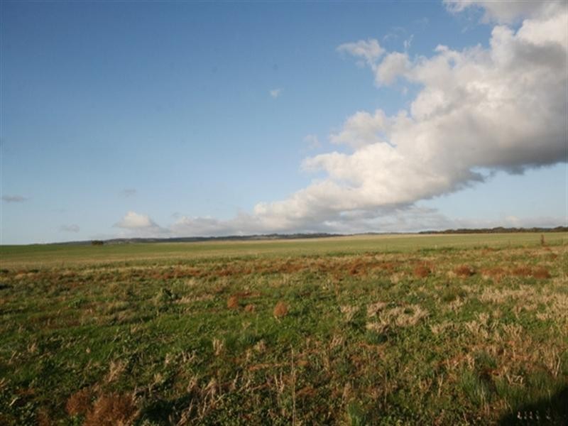 Lot 28 Cook Avenue, Blyth SA 5462