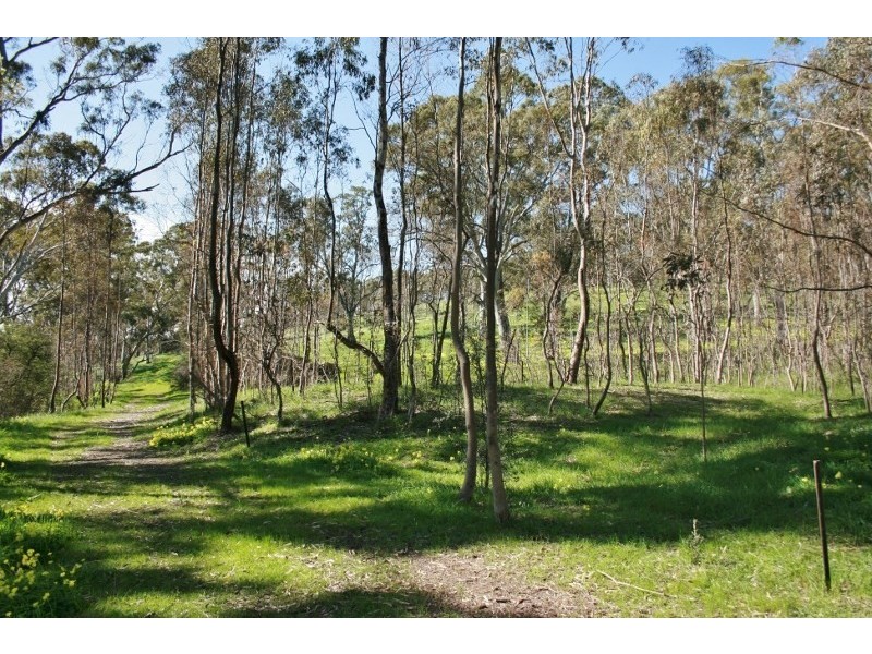Lot 31 and 32 Horrocks Road, Penwortham SA 5453