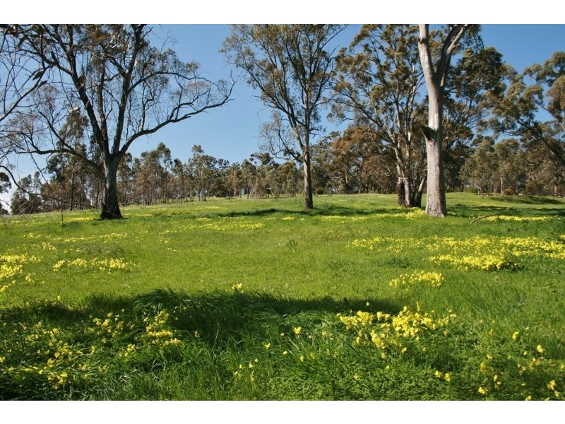 Lot 31 and 32 Horrocks Road, Penwortham SA 5453