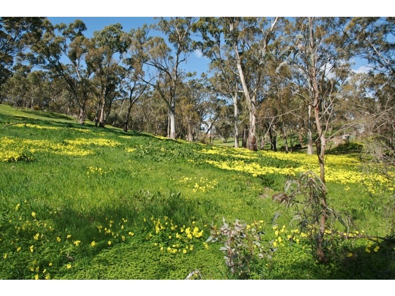 Lot 31 and 32 Horrocks Road, Penwortham SA 5453