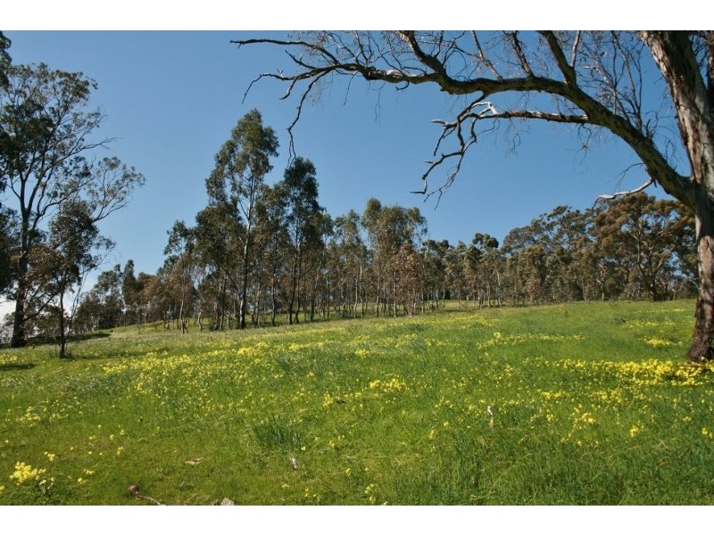 Lot 31 and 32 Horrocks Road, Penwortham SA 5453