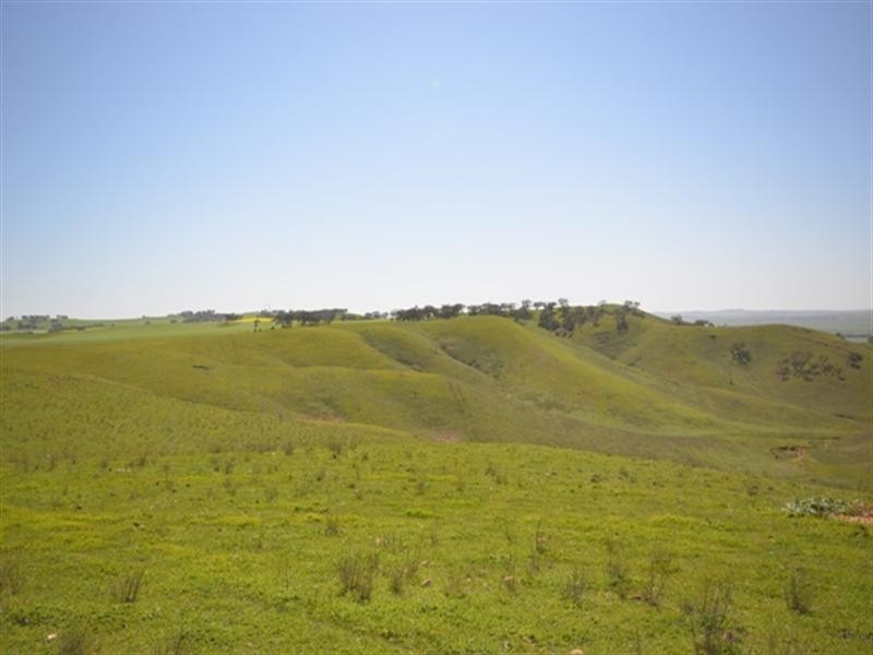 Kaiser Stuhl Scenic Road, Point Pass SA 5374