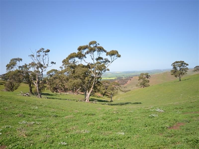 Kaiser Stuhl Scenic Road, Point Pass SA 5374