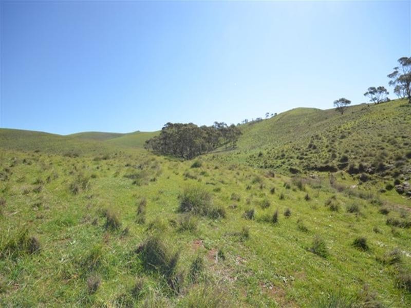 Kaiser Stuhl Scenic Road, Point Pass SA 5374