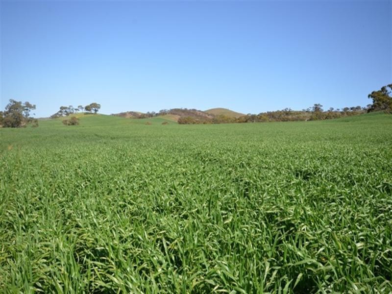 Kaiser Stuhl Scenic Road, Point Pass SA 5374